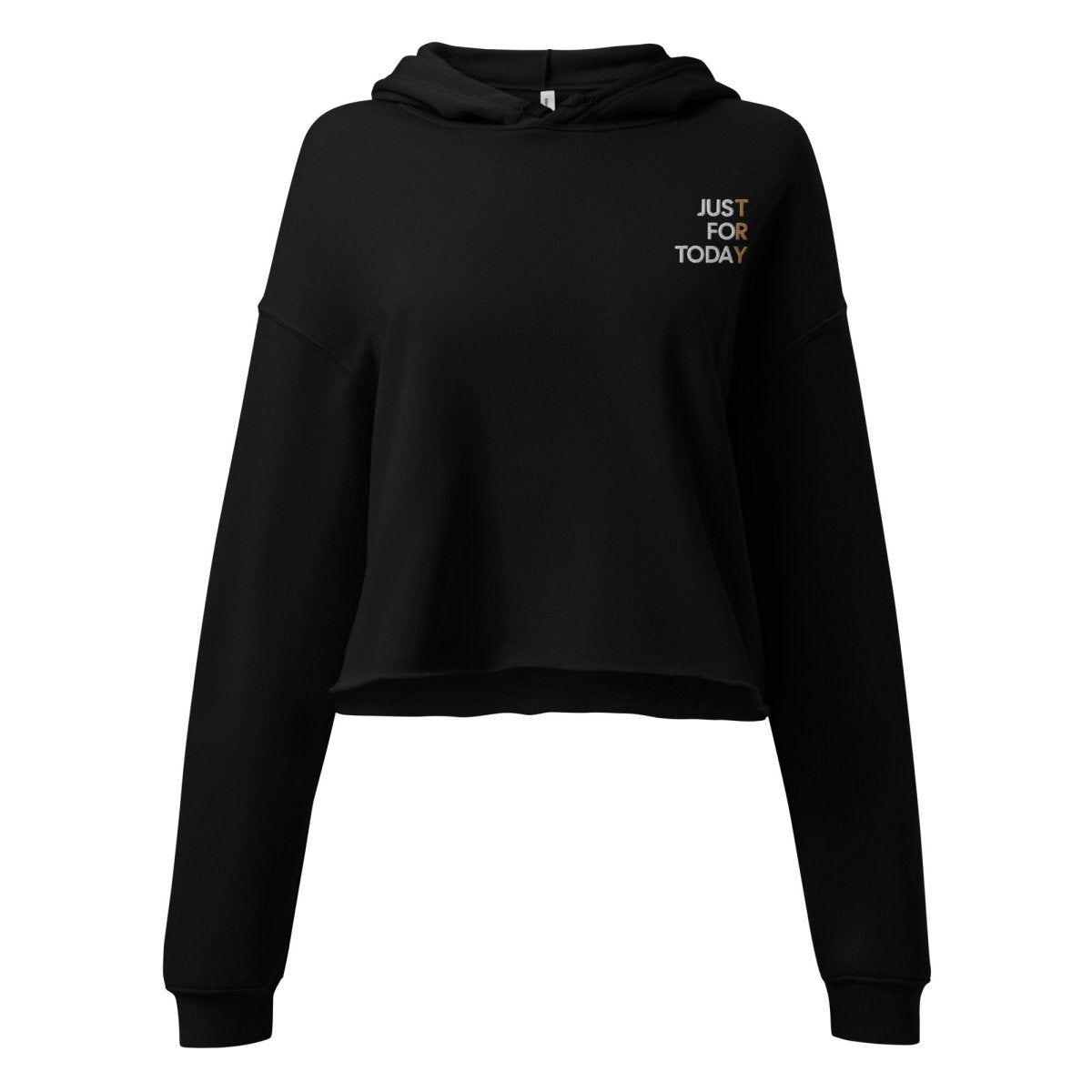 Just for Today Embroidered Women's Crop Hoodie - Sobervation